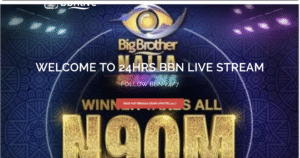 Bbnlive.net SEO Case Study